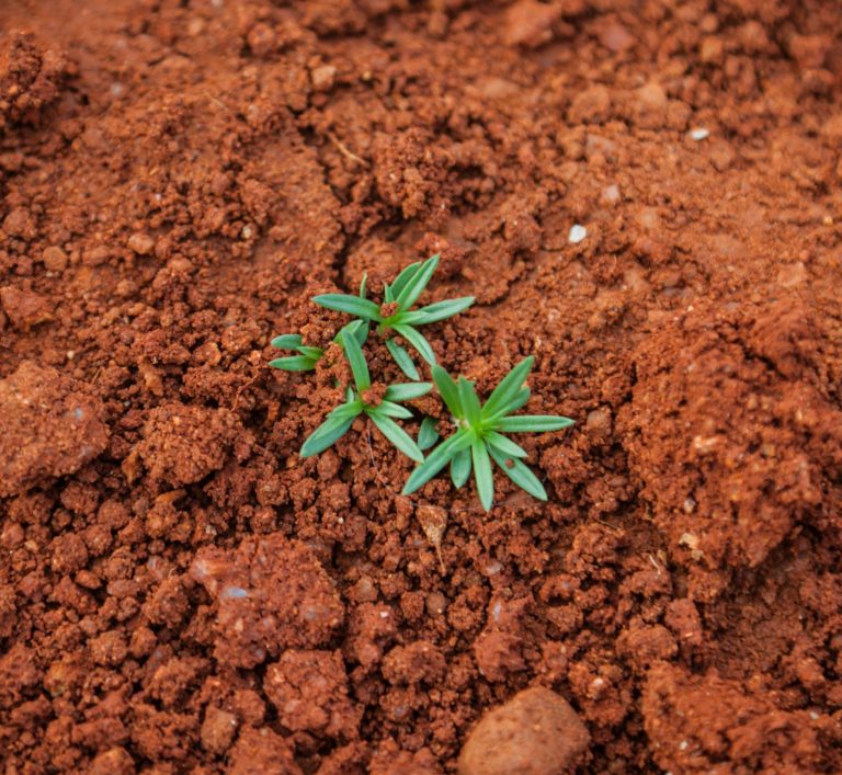 paul-mocan-IY0oy3SS6jw-unsplash