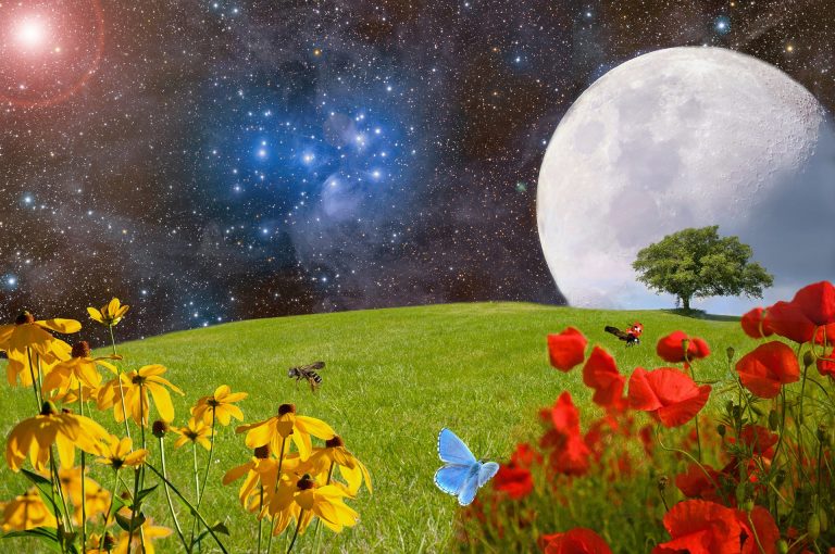 meadow-g2b62b200c_1920