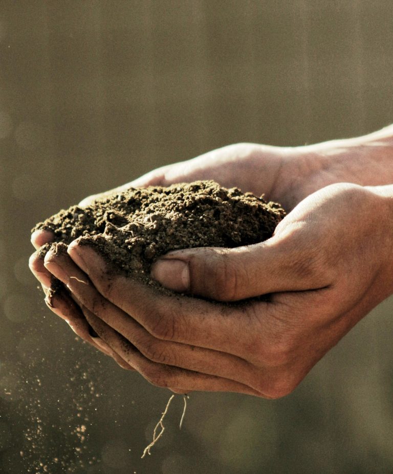 gabriel-jimenez-jin4W1HqgL4-unsplash